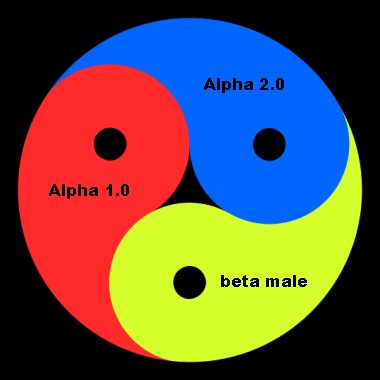 first date advice, first online date, online dating advice, meaning of an open relationship, alpha male traits