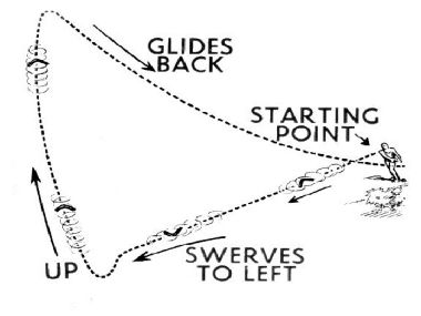 first date advice, first online date, online dating advice, meaning of an open relationship, alpha male traits