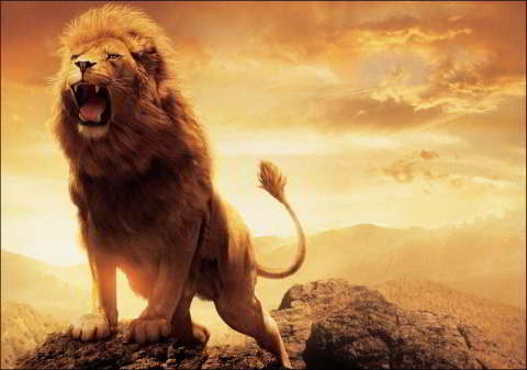 first date advice, first online date, online dating advice, meaning of an open relationship, alpha male traits